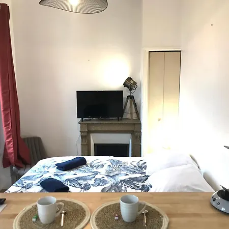 Apartment Le Castel Lily - Calme - Face Aux Parcs - Immeuble De Caractere Vichy